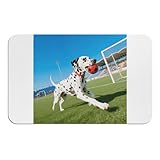 ZFSLY Diatomaceous Stone Bath Mats Non Slip Absorbent Shower Mat Spotted Dog Quick Drying Bath Rugs for Bathrooms Guest Rooms