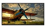 Les bords des photos sont imprimés par défaut dans les couleurs du motif, de sorte qu'un cadre photo supplémentaire n'est pas nécessaire. Nos images sont imprimées avec des encres à base de pigments pour des couleurs éclatantes et un contraste élevé. Constatez par vous-même ! Toutes les images sont livrées tendues sur un cadre en bois aux clients, de sorte que vous n'avez pas besoin d'un cadre supplémentaire ou d'autres tendeurs.