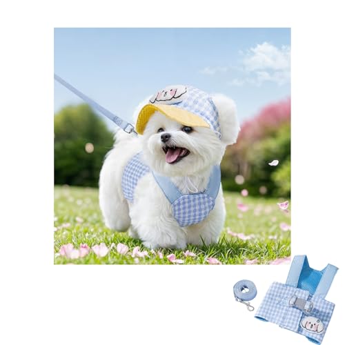 Ursprung 犬 ハーネス おしゃれ 小型犬 リードセット 抜けない 二重引っ張り防止 かわいい 胴輪 猫用ハーネス 通気性 着脱簡単 調節可能 軽量 メッシュ素材 洗える可能 猫 小型犬・中型犬対応 散歩 お出かけ(キャップなし,M)