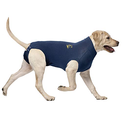 Medical Pet Shirt, Hund, Blau, für extra große Hunde – Bild 3