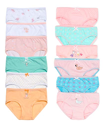 Channo Niña Braguitas de algodón con Estampados y Dibujos Originales. Cómodas y Suaves - Pack de 12, Estaciones, 2-3 años