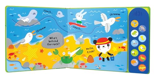 Baby's Very First Nature Sounds Playbook (Baby's Very First Books): 1