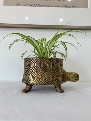 DSTUDIOhome Vintage Brass Turtle Footed Planter Pot (Small)