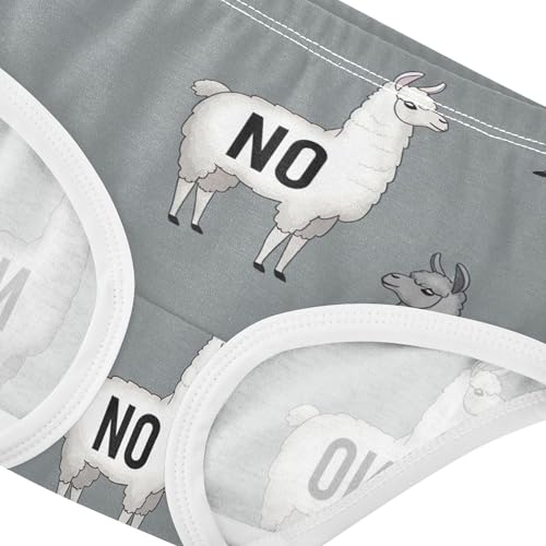 Florals Girls Underwear Toddler 2t Cotton Little Girl Panties Gray White Llamas Briefs Undies Kids4