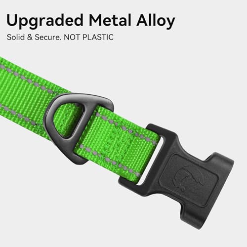 Image of Joytale Reflective Dog Collar, Adjustable Neoprene Padded, Green S | Breathable Nylon for Small Dogs, No Chafing on Daily Walks and Training, Gentle on Neck, Secure Metal D-Ring, Night Safety