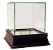 Steiner Sports Glass Single Baseball Case