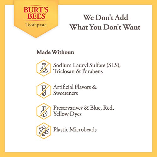 Burt\'s Bees Kids Toothpaste, Fluoride Free, Fruit Fusion, 4.2 Oz, Pack of 4