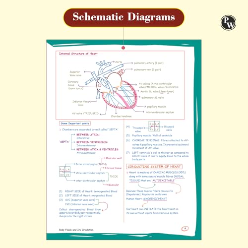 Image of PW Med Easy Handwritten Notes Physics, Chemistry, Botany & Zoology For NEET /JEE and Board Exams 2026-27 | Flowcharts, Formulas, Tips & Tricks, Schematic Diagrams