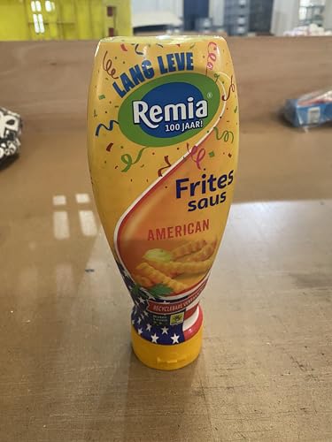Remia estadounidense Frite salsa holandesa Topdown frasco Snack salsa 500G