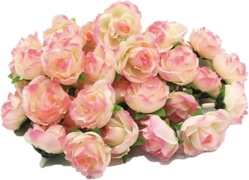 o  50 3cm u[P [Y KN   (zCgsN) ([YsN)