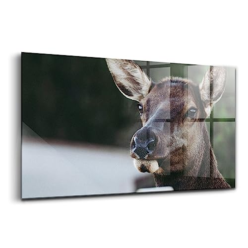 Peinture sur verre Wallfluent 100x50cm tableau moderne de cerf coloré pour décoration salon