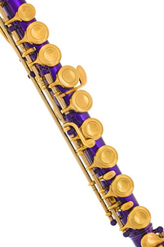 image for 180-PR-N - PURPLE/LACQUER Keys Closed C Flute Lazarro+Pro Case,Care Ki
