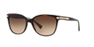 Women's Hc8132 Cat Eye Sunglasses