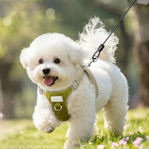 HUANR Bissfeste Hundeleine, Stahlseil Hund Sicherheitsgurt, Hundeleine Verlängerungsseil mit 360° Schnalle, Schwarzes Hausleine für Hunde, für Zuhause, Park und Camping