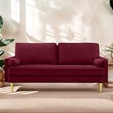 Qinazoe 65 inch Velvet Love Seat