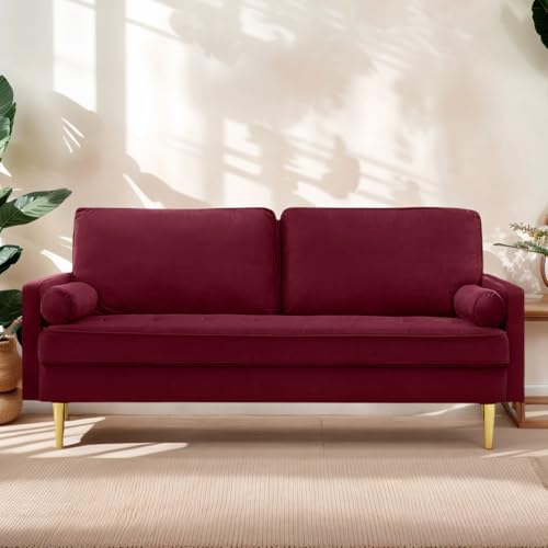 Qinazoe 65" Love Seat Sofa, Velvet Small Sofa Small Couch