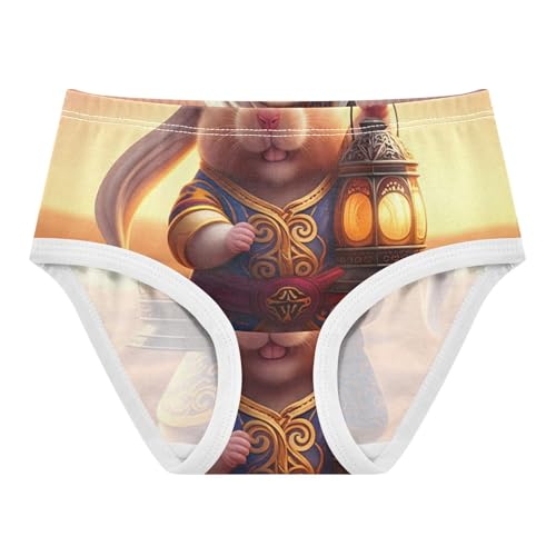Cute Hamster Traditional Eastern Girls Underwear Toddler 2t Cotton Little Girl Panties Colorful Kids Undies Briefs
