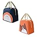 2 Stück Isolierte Lunch Tasche, Wasserdichtes Gewebe Faltbare Cool Bag für Lunch Boxes, Picknick-Handtasche Isolierte Kühltasche mit großer Kapazität für Frauen, Erwachsene, Studenten und Kinder