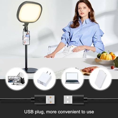 Image of Video Conference Lighting Kit, Desktop Video Conference Light with Stand and Phone Holder, Adjustable Brightness and Color Temperature, USB Powered LED Light for Zoom Streaming