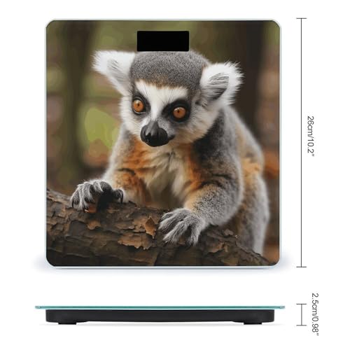 Báscula Digital de Baño Monkey Lemur 26x26 cm Vidrio Templado miniatura 2