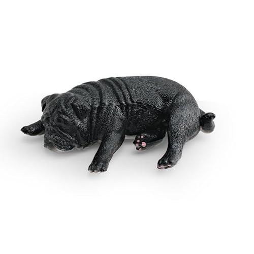 [L_R] pO     ubN ~j`A tBMA u f CeA RN^[ ͌^