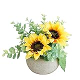 Rosscer Artificial Flowers Kit with Pot, Combination of Fake Silk Sunflowers and Greenery,Small Plan