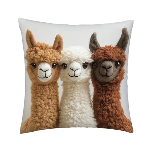 45cm x 45cm �N�b�V�����J�o�[ | 45cm×45cm �A���p�J �_�炩���� ���킢��,�\�t�g�\�t�@�N�b�V���� ���[�V���� - ���r���O���[�� �J�E�` �\�t�@ �x�b�h �`�F�A �I�t�B�X �J�[ �t�@�[���n�E�X �z�e�� �A�p�[�g �� �z���f�[ �p