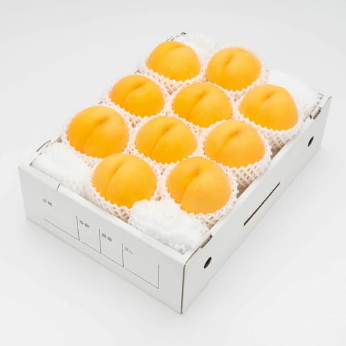 [先行予約]有袋黄桃 秀品 品種おまかせ 化粧箱入り 約3kg 令和8年産 2026年産 山形県産 果物 ns-mootx3