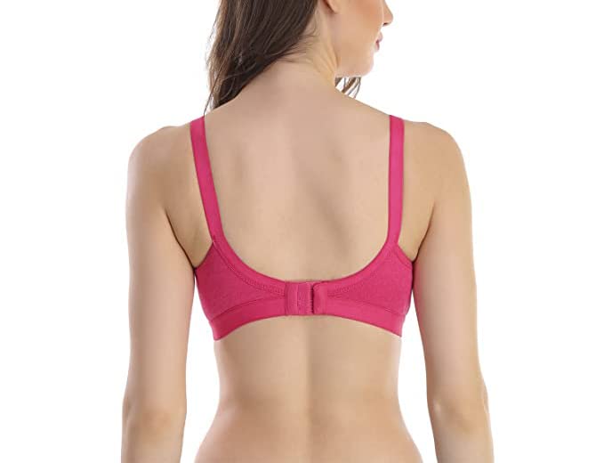 Image of SKDREAMS Blue & Brown & Purple-32D Cotton Blend Seamless Non Padded Non-Wired Full Coverage Pack of 3 Women T-Shirt Bra Combo