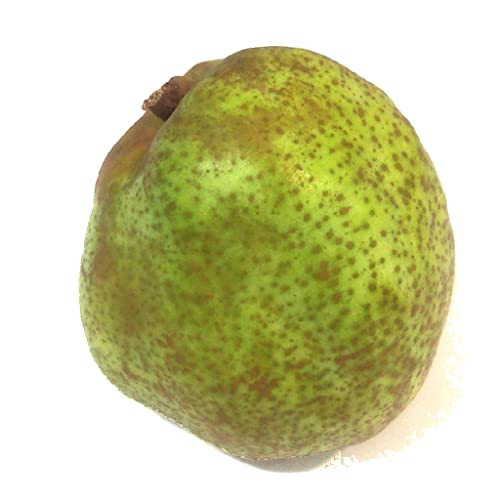 ライフコーポレーション 長野・山形産など国内産 ラ・フランス 1個のサムネイル