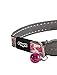 ROGZ CB09-K Glow in the Dark Reflective Cat Collar with Breakaway Clip and Removable Bell, fully adjustable to fit most breeds, Pink Butterfly Design