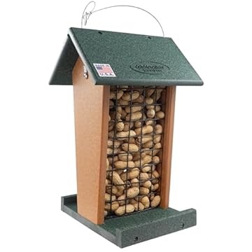 best bird feeder for blue jays