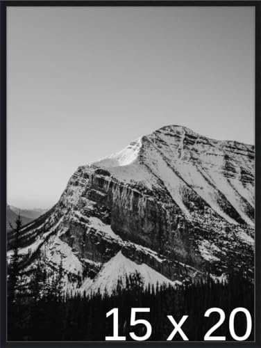 Frame It Easy 15 1/2 x 20 3/4 Satin Black Metal Frame (Ashford) 15.5x20.7 inches