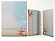 Sommer Urlaub Strand Motivpapier Set mit Umschlag Seestern 20 Blatt A4 und 20 passende Kuverts