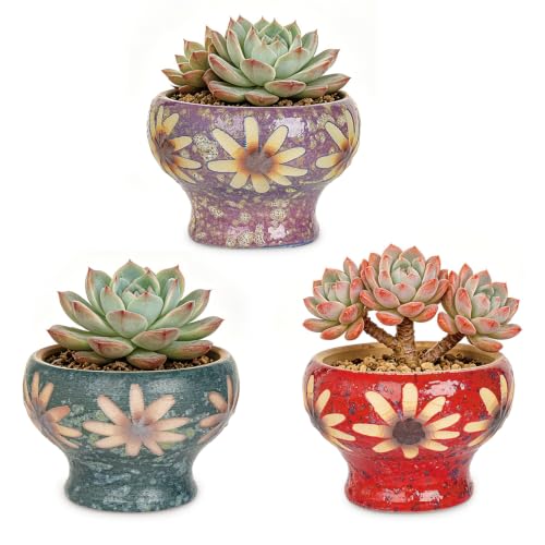 Image of Sungmor Set of 3 Beautiful Handicrafts Ceramic Planters - 4.9 Inch Small Succulent Flower Pots with Drainage - Pretty Desktop Windowsill Landscape Flowerpot - Home & Office Decor Pots