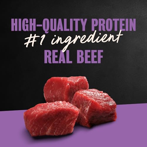 Image of Cesar Classic Loaf in Sauce Wet Dog Food, Filet Mignon, 3.5 oz, 24 Count | Made in USA, Real beef #1 ingredient, no fillers /added sugar /artificial flavors, use as meal or topper, easy peel trays