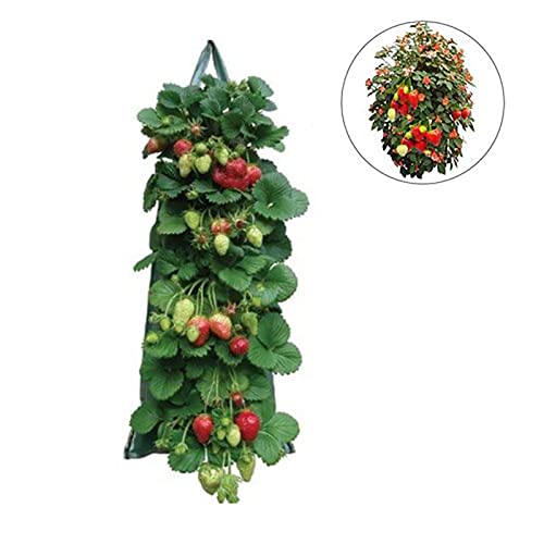 Hanging Strawberry Grow Bags | Upside-Down Patio Garden Tomato Planter | Hanging Aeration Fabric Strawberry Planter Bags,Sturdy Hanging Upside Down Strawberry Planter For Tomato Hot Peppers Vegetables #TOP5
