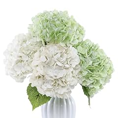 2 White,2 Light Green