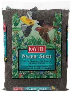 Kaytee #100033677 3LB Nyjer/Thistle Seed
