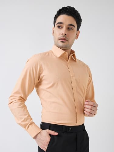 Image of Raymond Men Slim Fit Fil-A-Fil Pattern Pure Cotton Semi Cutaway Collar Full Sleeve Formal Shirt