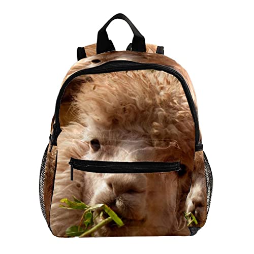 Sac à dos motif alpaga mignon et résistant pour filles et garçons
