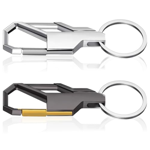 BIRLOZA 2 Piezas Llavero Mosqueton Aleación de Zinc Keychain Porta Chaves Retractil para Carro Regalo para Hombres Mujeres Cumpleaños Día del Padre (Plata y Gris)