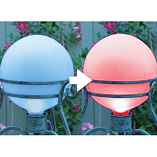 Echo Valley 10-GL Universal Kaleidolight Globo Multicolor miniatura 6