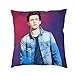 PFXXFP Tom-Holland Cuscino Stampato Zip Decor Gettare Cuscino Caso Divano Cuscino Copertura Divano Letto Sedia Decorazione Domestica (2 Pice, 18inch * 18inch)