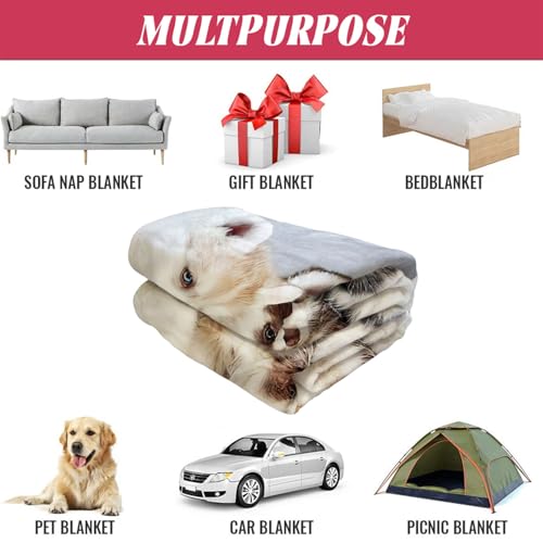 YISUMEI - 150 x 200 cm Decke - Siberian Husky Puppies Dogs Haustiere Fleecedecke,Kaschmir-Gefühl Kuscheldecke Geeignet für Bett oder Sofa