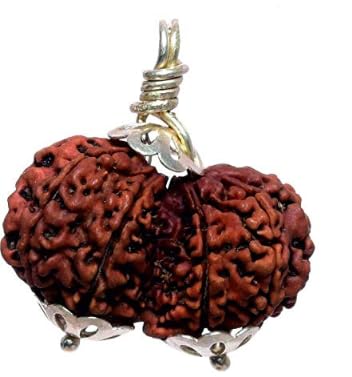 MAA Shakti GEMS Natural Two Joined Face Gauri Shankar Rudraksha from Nepal Beads Original Certified by Lab for Men & Women