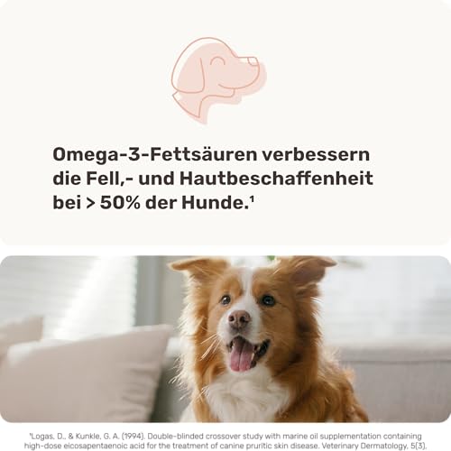 Lachsöl Drops für Hunde - 60 Leckerli (110g) von mammaly - Mit Lachs, Vitamin D & Omega 3 für Haut und Fell/Skin & Coat, Fellpflege & Hautpflege - Kann bei Haarausfall unterstützen für deinen Hund