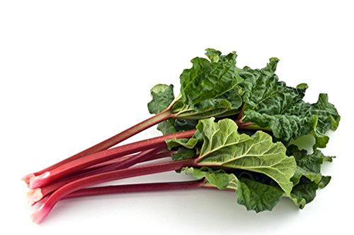 Seeds Rhubarb Original Organic Russian Heirloom Vegetable Seed