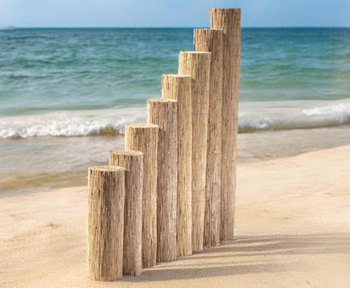 Bambus-Discount Niedrige Schilfrohrmatte Beach 80 x 600cm als Balkon Sichtschutz - Schilfmatte Premium 0,8 x 6m Made in EU