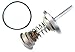 Watts 0794100 - 794100 - First Check Kit 10" for a 909 RP (Previously 0887215)